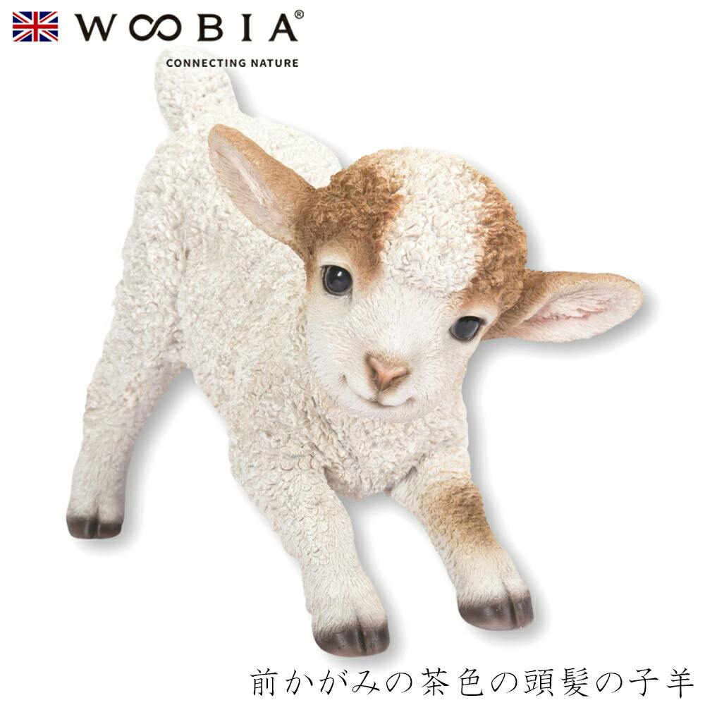 Woobia ウービア (幅24.5cm×奥行11.8cm×高さ18.7cm)かわいい 置物 リアル 動物 おしゃれ インテリア ガーデニング イギリス 人形 ガーデン置物人形 Woobia ウービア (幅24.5cm×奥行11.8cm×高さ18.7cm)かわいい 置物 リアル 動物 おしゃれ インテリア ガーデニング イギリス 人形 ガーデン置物人形