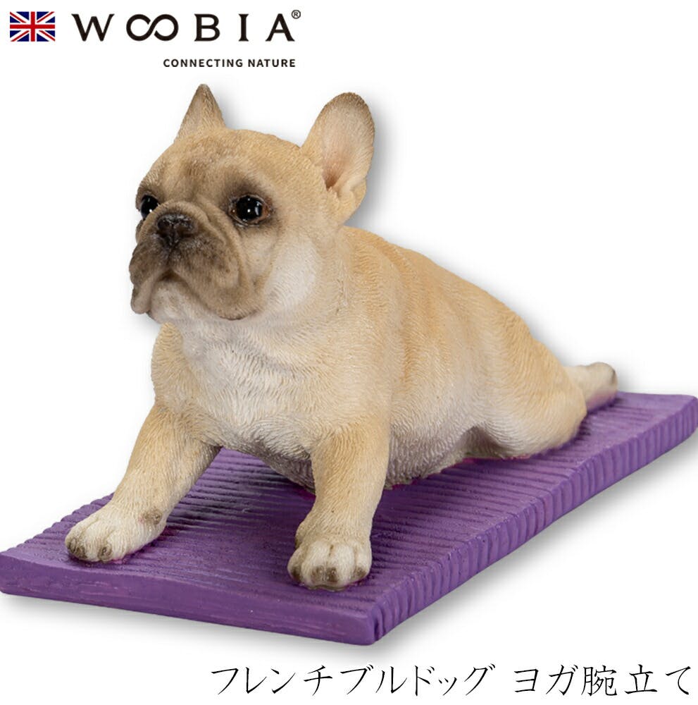 (幅11.5cm×奥行6cm×高さ7cm)犬 いぬ イヌ ドッグ dog かわいい 置物 リアル 動物 おしゃれ インテリア ガーデニング イギリス 人形 オ ガーデン置物人形 (幅11.5cm×奥行6cm×高さ7cm)犬 いぬ イヌ ドッグ dog かわいい 置物 リアル 動物 おしゃれ インテリア ガーデニング イギリス 人形 オ ガーデン置物人形