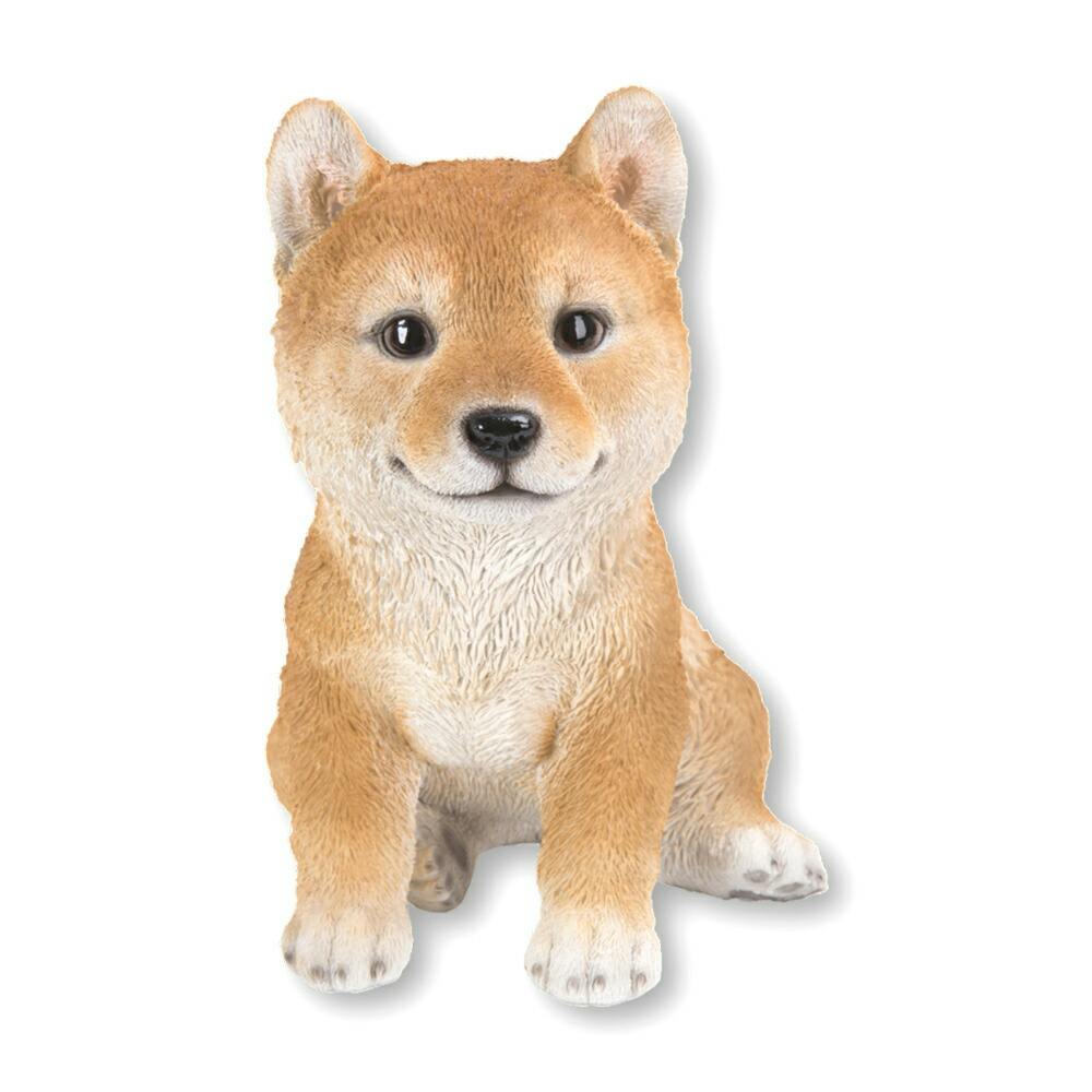しばいぬ 5000000086096_07.jpg