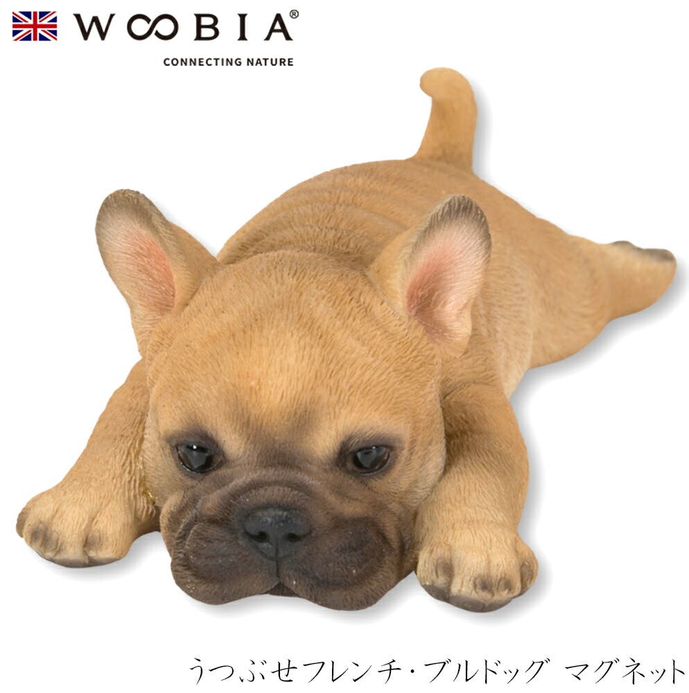 (幅13cm×奥行6.5cm×高さ4.7cm)犬 いぬ イヌ ドッグ dog かわいい 置物 リアル 動物 インテリア ガーデニング イギリス 人形 オーナメ マグネット (幅13cm×奥行6.5cm×高さ4.7cm)犬 いぬ イヌ ドッグ dog かわいい 置物 リアル 動物 インテリア ガーデニング イギリス 人形 オーナメ マグネット
