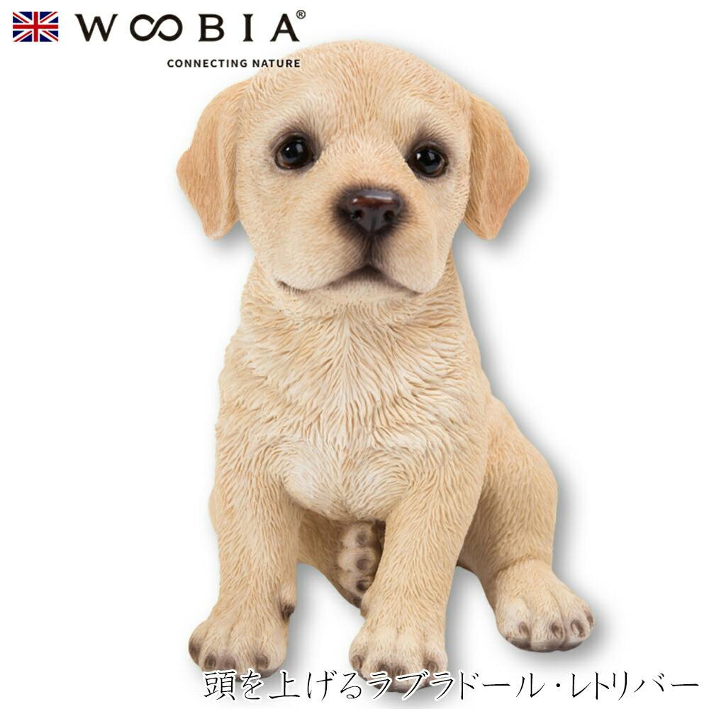 (幅10.5cm×奥行8.5cm×高さ12.2cm)犬 いぬ イヌ ドッグ dog かわいい 置物 リアル 動物 おしゃれ インテリア ガーデニング 人形 オ ガーデン置物人形 (幅10.5cm×奥行8.5cm×高さ12.2cm)犬 いぬ イヌ ドッグ dog かわいい 置物 リアル 動物 おしゃれ インテリア ガーデニング 人形 オ ガーデン置物人形