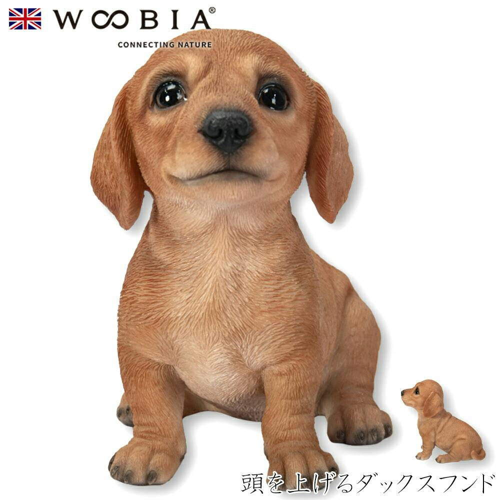 (幅11.5cm×奥行7.5cm×高さ11cm)犬 いぬ イヌ ドッグ dog かわいい 置物 リアル 動物 おしゃれ インテリア ガーデニング イギリス 人 ガーデン置物人形 (幅11.5cm×奥行7.5cm×高さ11cm)犬 いぬ イヌ ドッグ dog かわいい 置物 リアル 動物 おしゃれ インテリア ガーデニング イギリス 人 ガーデン置物人形