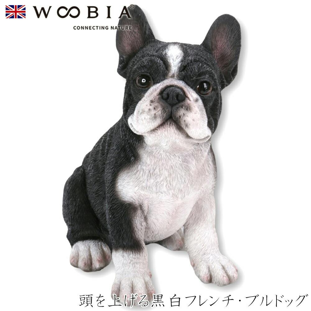 (幅11.4cm×奥行7.4cm×高さ12.7cm)犬 いぬ イヌ ドッグ dog かわいい 置物 リアル 動物 おしゃれ インテリア ガーデニング 人形 オ ガーデン置物人形 (幅11.4cm×奥行7.4cm×高さ12.7cm)犬 いぬ イヌ ドッグ dog かわいい 置物 リアル 動物 おしゃれ インテリア ガーデニング 人形 オ ガーデン置物人形