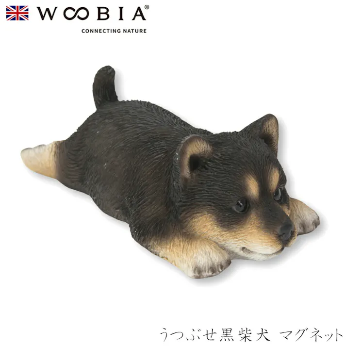 【Woobia(ウービア)】【うつぶせ黒柴犬 マグネット】 (幅13cm×奥行6cm×高さ4.5cm)犬 いぬ イヌ ドッグ dog かわいい 置物 リアル 動物 おしゃれ インテリア ガーデニング イギリス 人形 オーナメント ペット #4582756139532