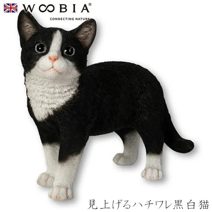 【Woobia(ウービア)】【見上げるハチワレ黒白猫】 (幅33.5cm×奥行14.5cm×高さ26cm)猫 ねこ ネコ cat かわいい 置物 リアル 動物 おしゃれ インテリア ガーデニング イギリス 人形 オーナメント ペット #4582756136197