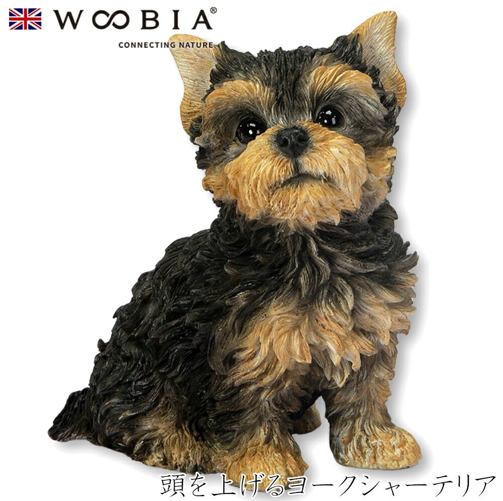 (幅10cm×奥行6.5cm×高さ11cm)犬 いぬ イヌ ドッグ dog かわいい 置物 リアル 動物 おしゃれ インテリア ガーデニング イギリス 人形 ガーデン置物人形 (幅10cm×奥行6.5cm×高さ11cm)犬 いぬ イヌ ドッグ dog かわいい 置物 リアル 動物 おしゃれ インテリア ガーデニング イギリス 人形 ガーデン置物人形