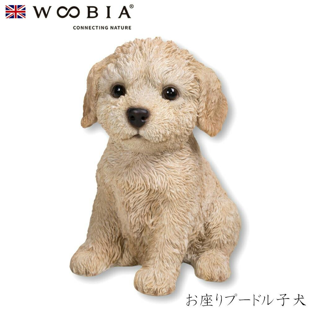 (幅17.1cm×奥行12.8cm×高さ19.8cm)犬 いぬ イヌ ドッグ dog かわいい 置物 リアル 動物 おしゃれ インテリア ガーデニング イギリ ガーデン置物人形 (幅17.1cm×奥行12.8cm×高さ19.8cm)犬 いぬ イヌ ドッグ dog かわいい 置物 リアル 動物 おしゃれ インテリア ガーデニング イギリ ガーデン置物人形