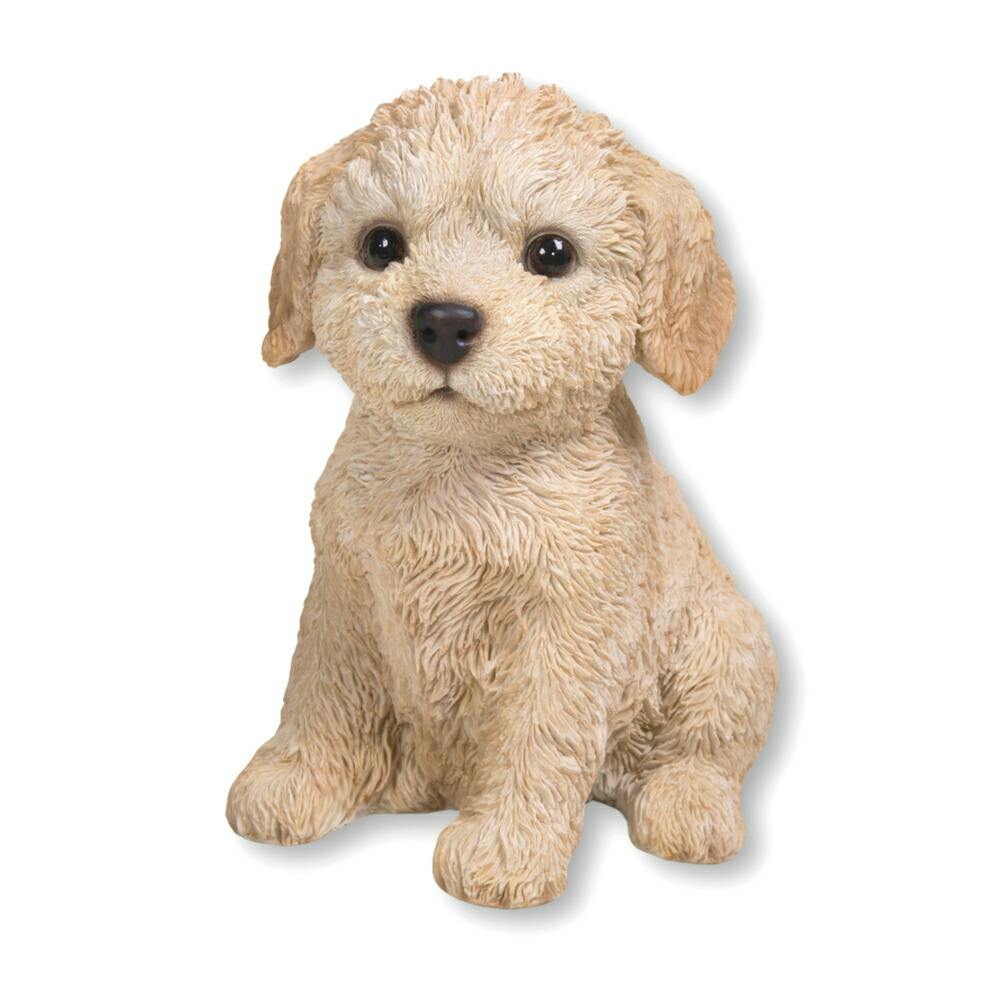 お座りトイプードル3点 Woobia ウービア 【お座りプードル子犬】 (幅17.1cm×奥行12.8cm