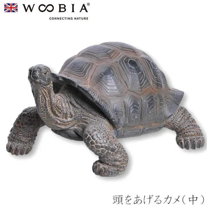 【Woobia(ウービア)】【頭をあげるカメ(中)】 (幅30.2cm×奥行12.2cm×高さ17.5cm)かわいい 置物 リアル 動物 おしゃれ インテリア ガーデニング イギリス 人形 オーナメント ペット #4582756131970/H11336