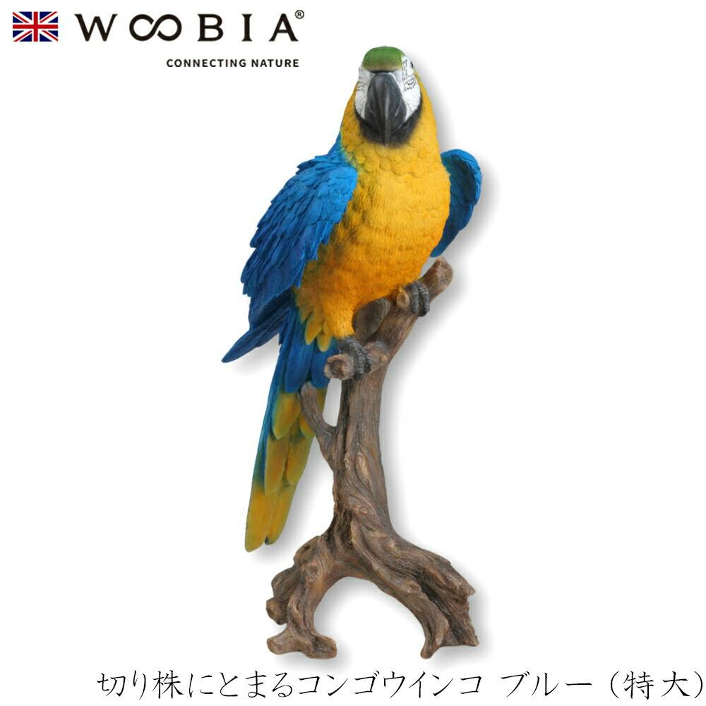 Woobia ウービア (幅41.5cm×奥行27cm×高さ68cm)かわいい 置物 リアル 動物 おしゃれ インテリア ガーデニング イギリス 人形 オーナ ガーデン置物人形 Woobia ウービア (幅41.5cm×奥行27cm×高さ68cm)かわいい 置物 リアル 動物 おしゃれ インテリア ガーデニング イギリス 人形 オーナ ガーデン置物人形