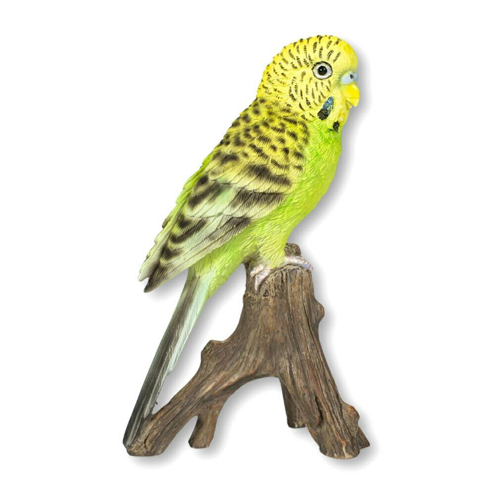 セキセイインコ　a⑥ 青セキセイインコ｜WooBia公式オンラインショップ – WooBia