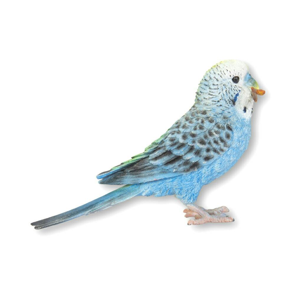 Amazon.co.jp: bluederst鳥オウムインテリジェンストレーニング