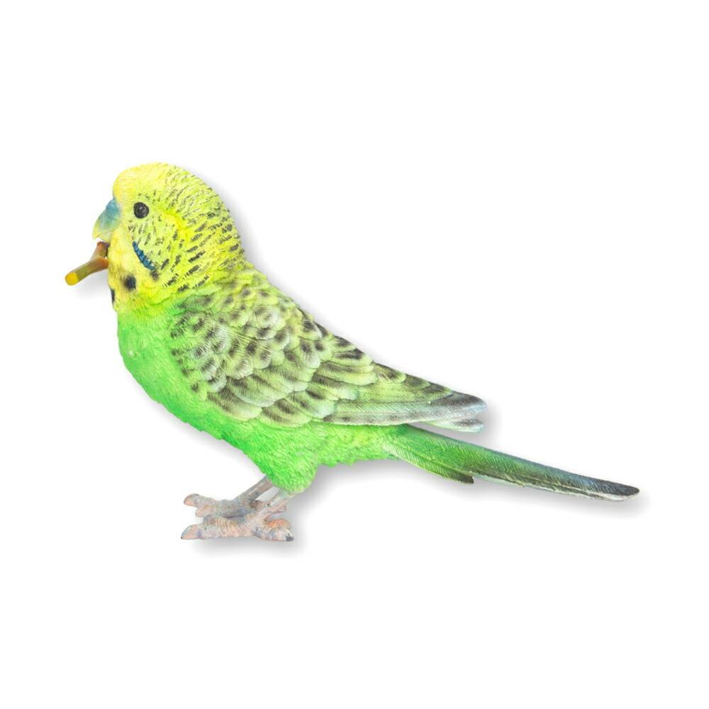 緑セキセイインコ｜WooBia公式オンラインショップ – WooBia