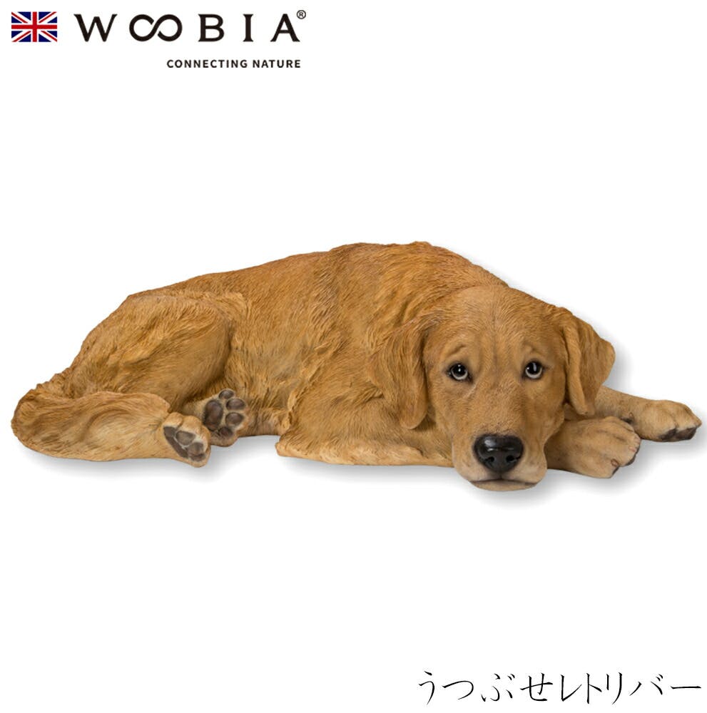 (幅74cm×奥行40.5cm×高さ20.5cm)犬 いぬ イヌ ドッグ dog かわいい 置物 リアル 動物 おしゃれ インテリア ガーデニング イギリス ガーデン置物人形 (幅74cm×奥行40.5cm×高さ20.5cm)犬 いぬ イヌ ドッグ dog かわいい 置物 リアル 動物 おしゃれ インテリア ガーデニング イギリス ガーデン置物人形