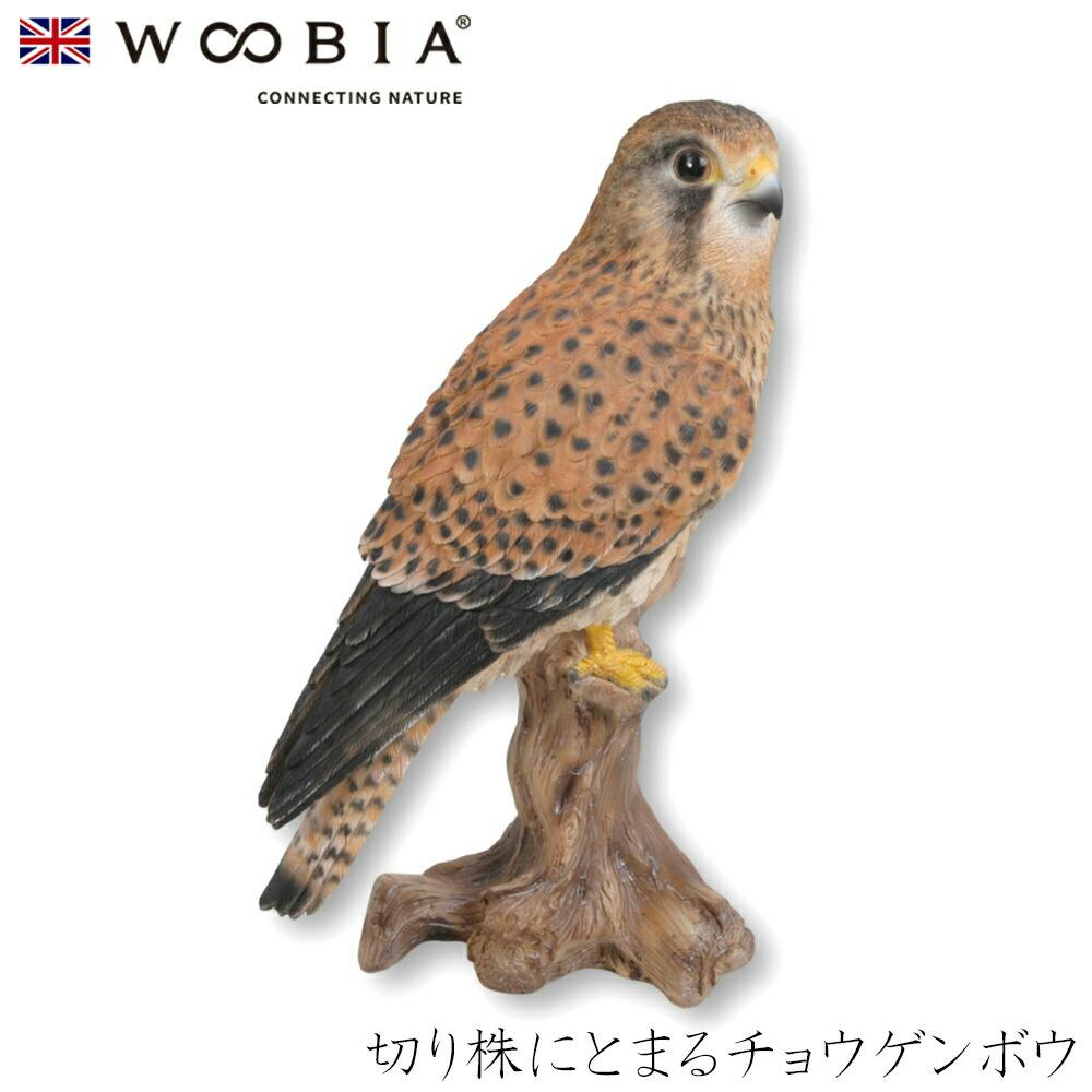 Woobia ウービア (幅12.5cm×奥行9.2cm×高さ21.5cm)かわいい 置物 リアル 動物 おしゃれ インテリア ガーデニング イギリス 人形 ガーデン置物人形 Woobia ウービア (幅12.5cm×奥行9.2cm×高さ21.5cm)かわいい 置物 リアル 動物 おしゃれ インテリア ガーデニング イギリス 人形 ガーデン置物人形