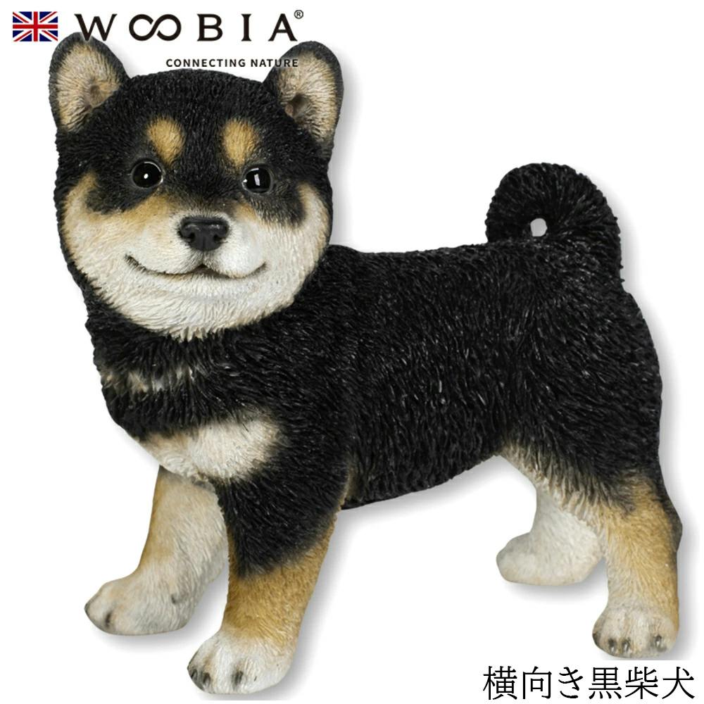 (幅18.5cm×奥行11.5cm×高さ18cm)犬 いぬ イヌ ドッグ dog かわいい 置物 リアル 動物 おしゃれ インテリア ガーデニング イギリス ガーデン置物人形 (幅18.5cm×奥行11.5cm×高さ18cm)犬 いぬ イヌ ドッグ dog かわいい 置物 リアル 動物 おしゃれ インテリア ガーデニング イギリス ガーデン置物人形