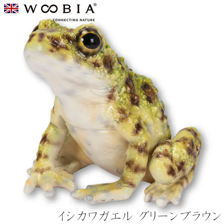 【Woobia(ウービア)】【イシカワガエル グリーンブラウン】 (幅8cm×奥行8cm×高さ7cm)かわいい 置物 リアル 動物 おしゃれ インテリア ガーデニング イギリス 人形 オーナメント ペット #4582756143089
