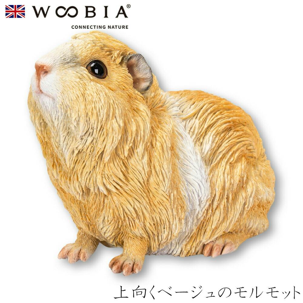 Woobia ウービア (幅14cm×奥行9cm×高さ11.8cm)かわいい 置物 リアル 動物 おしゃれ インテリア ガーデニング イギリス 人形 オーナメ ガーデン置物人形 Woobia ウービア (幅14cm×奥行9cm×高さ11.8cm)かわいい 置物 リアル 動物 おしゃれ インテリア ガーデニング イギリス 人形 オーナメ ガーデン置物人形