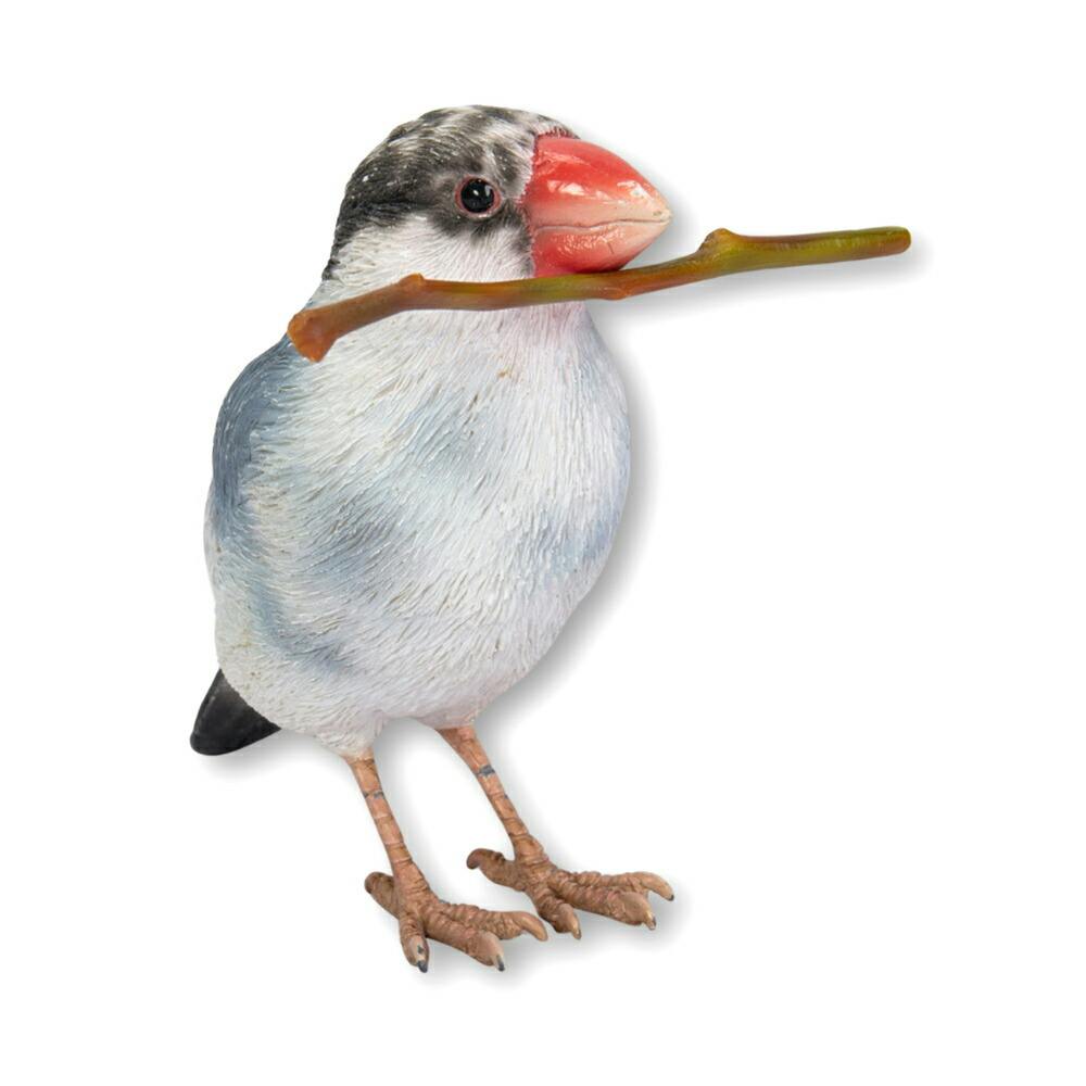 Woobia（ウービア）】【桜文鳥】 (幅11cm×奥行4.5cm×高さ8.7cm