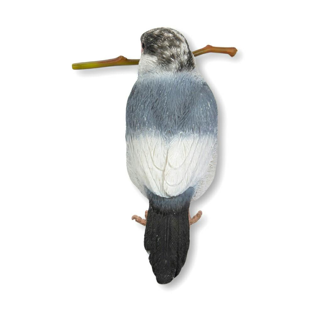 リピーター様⭐︎むつ文鳥 友と文鳥ｽﾞ°ʚ(•ө•)ɞ° on X: 