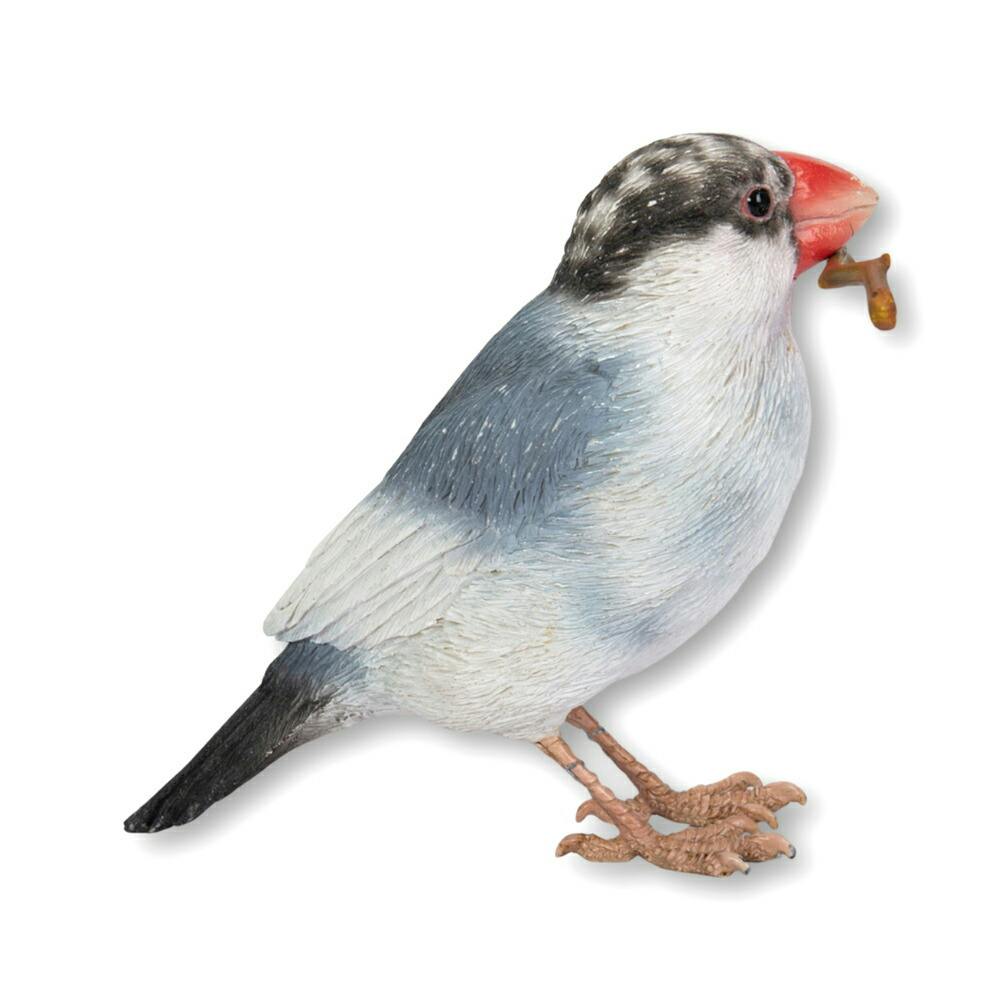 Woobia ウービア 【桜文鳥】 (幅11cm×奥行4.5cm×高さ8.7cm