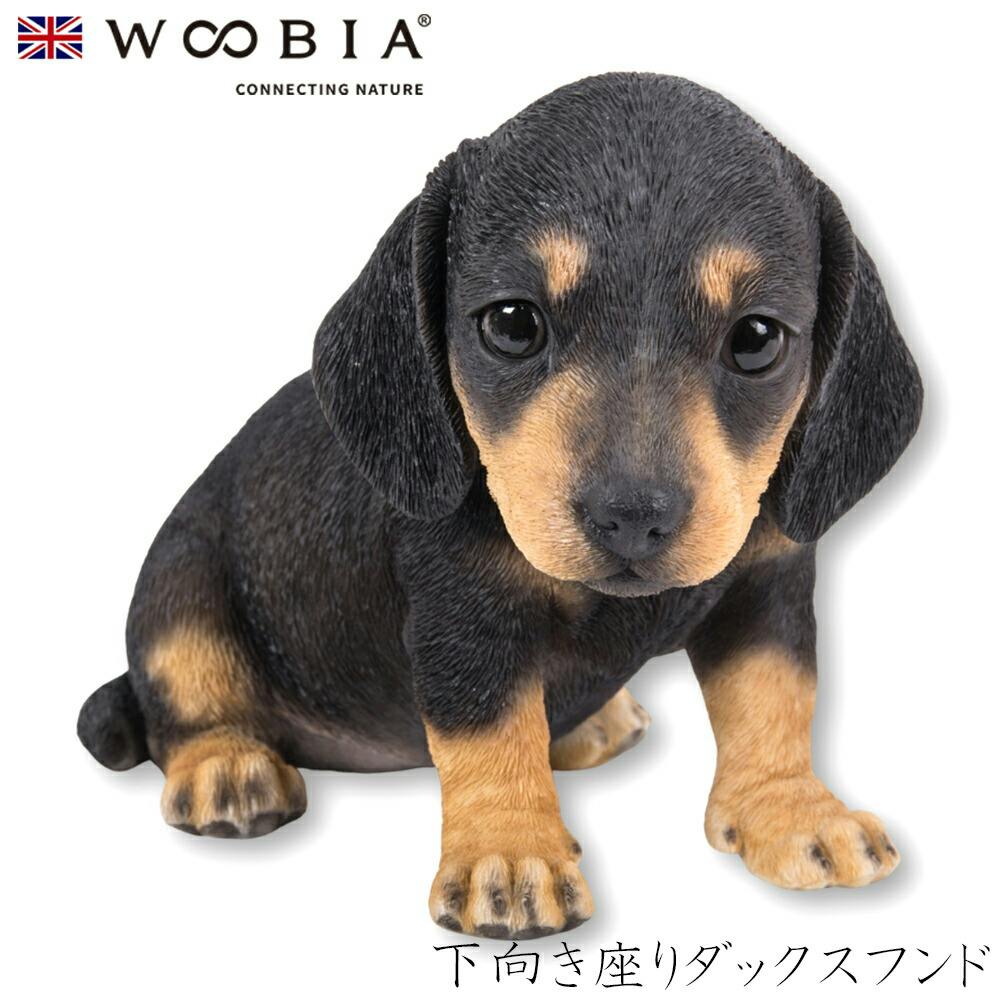 Woobia E[rA (19.5cm×s11cm×14.8cmj  Ck hbO dog 킢 u A   CeA K[ful`