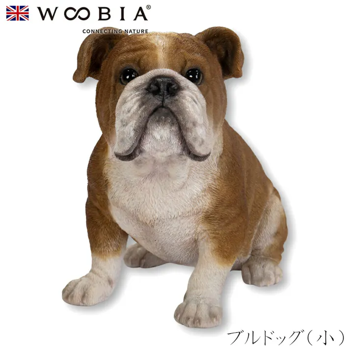 【Woobia(ウービア)】【ブルドッグ(小)】 (幅20cm×奥行11cm×高さ16.5cm)犬 いぬ イヌ ドッグ dog かわいい 置物 リアル 動物 おしゃれ インテリア ガーデニング イギリス 人形 オーナメント ペット #4582756142174