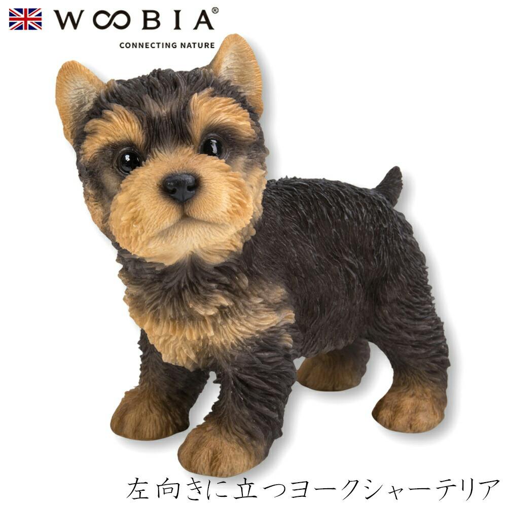 (幅13cm×奥行7cm×高さ12.5cm)犬 いぬ イヌ ドッグ dog かわいい 置物 リアル 動物 おしゃれ インテリア ガーデニング イギリス 人形 ガーデン置物人形 (幅13cm×奥行7cm×高さ12.5cm)犬 いぬ イヌ ドッグ dog かわいい 置物 リアル 動物 おしゃれ インテリア ガーデニング イギリス 人形 ガーデン置物人形