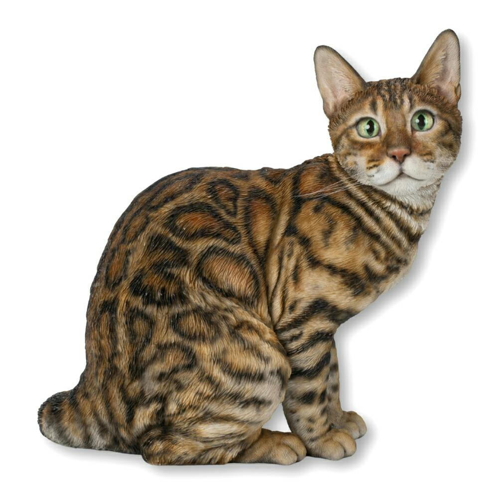 ベンガル猫のひげ 5000000086287_07.jpg