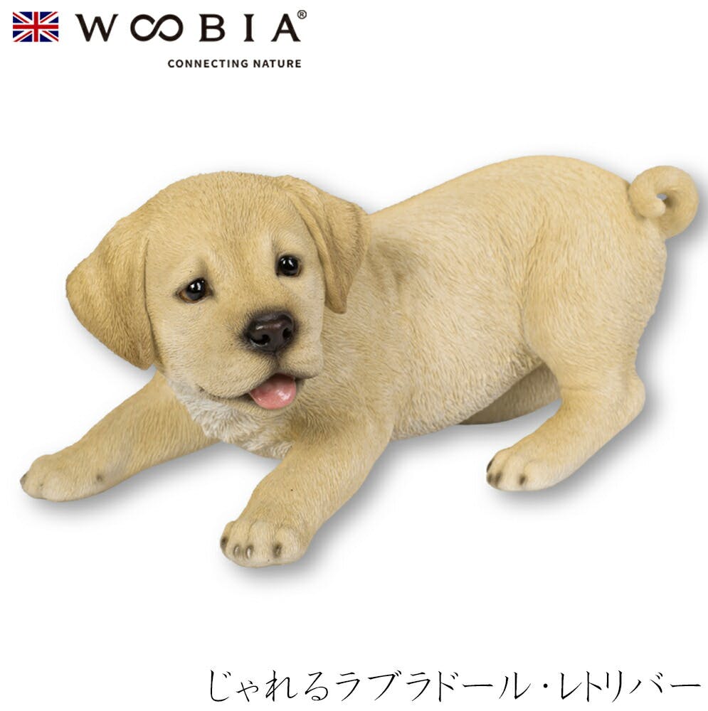 (幅23.5cm×奥行14cm×高さ11.5cm)犬 いぬ イヌ ドッグ dog かわいい 置物 リアル 動物 おしゃれ インテリア ガーデニング イギリス ガーデン置物人形 (幅23.5cm×奥行14cm×高さ11.5cm)犬 いぬ イヌ ドッグ dog かわいい 置物 リアル 動物 おしゃれ インテリア ガーデニング イギリス ガーデン置物人形