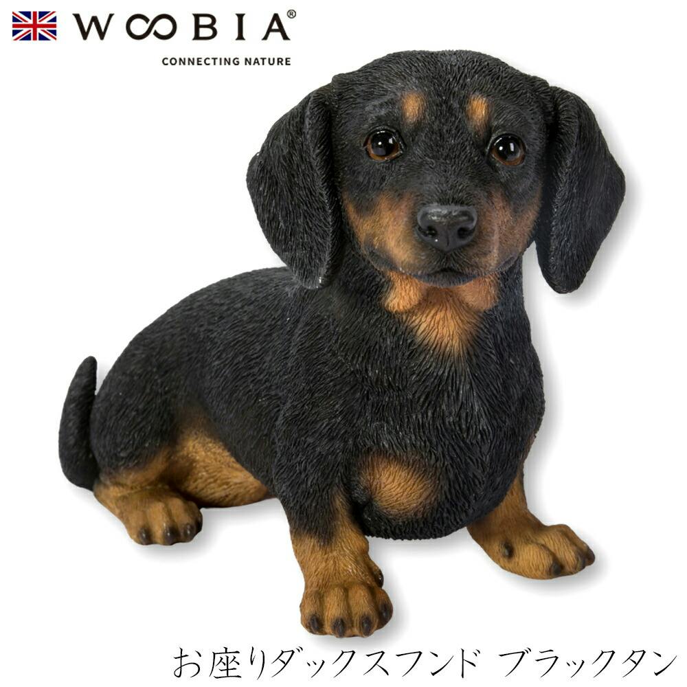 (幅22.5cm×奥行9cm×高さ14cm)犬 いぬ イヌ ドッグ dog かわいい 置物 リアル 動物 おしゃれ インテリア ガーデニング イギリス 人形 ガーデン置物人形 (幅22.5cm×奥行9cm×高さ14cm)犬 いぬ イヌ ドッグ dog かわいい 置物 リアル 動物 おしゃれ インテリア ガーデニング イギリス 人形 ガーデン置物人形