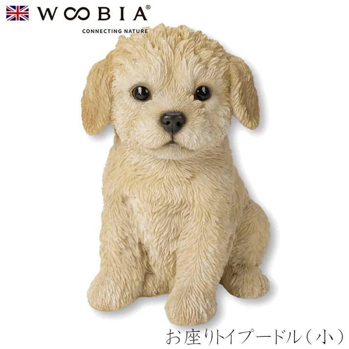 【Woobia(ウービア)】【お座りトイプードル(小)】 (幅11.8cm×奥行9.3cm×高さ14.3cm)犬 いぬ イヌ ドッグ dog かわいい 置物 リアル 動物 おしゃれ インテリア ガーデニング イギリス 人形 オーナメント ペット #4582756142570