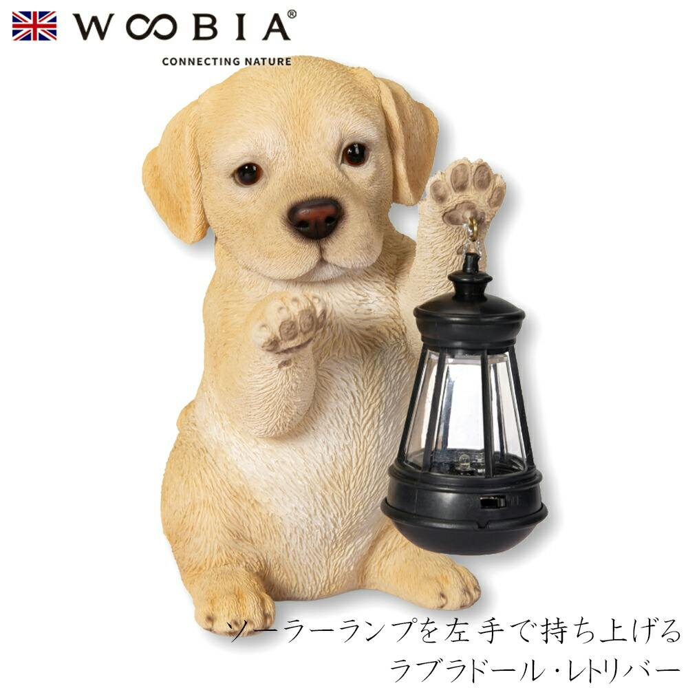 (幅16.5cm×奥行9cm×高さ16.5cm)犬 いぬ イヌ ドッグ dog かわいい 動物 インテリア ガーデニング イギリス 人形 オーナメント ペット ガーデン置物人形 (幅16.5cm×奥行9cm×高さ16.5cm)犬 いぬ イヌ ドッグ dog かわいい 動物 インテリア ガーデニング イギリス 人形 オーナメント ペット ガーデン置物人形