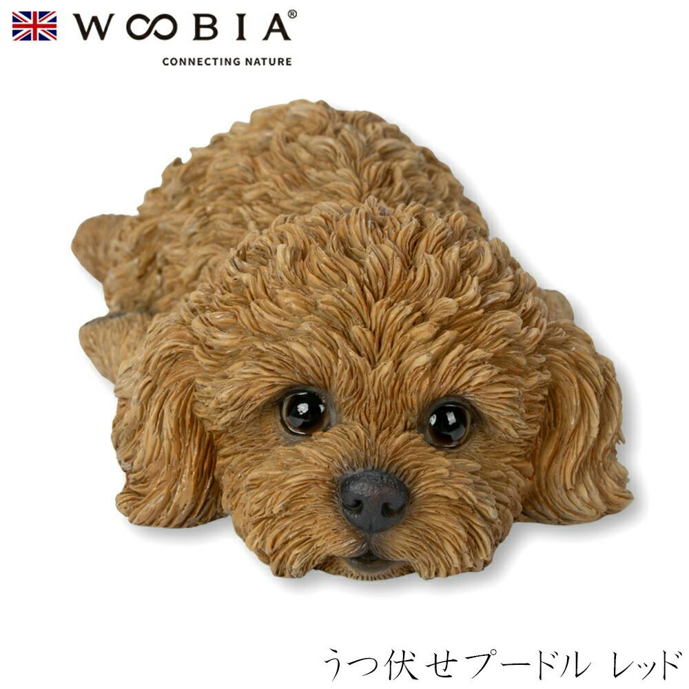 (幅19cm×奥行10cm×高さ5cm)犬 いぬ イヌ ドッグ dog かわいい 置物 リアル 動物 おしゃれ インテリア ガーデニング イギリス 人形 オー ガーデン置物人形 (幅19cm×奥行10cm×高さ5cm)犬 いぬ イヌ ドッグ dog かわいい 置物 リアル 動物 おしゃれ インテリア ガーデニング イギリス 人形 オー ガーデン置物人形