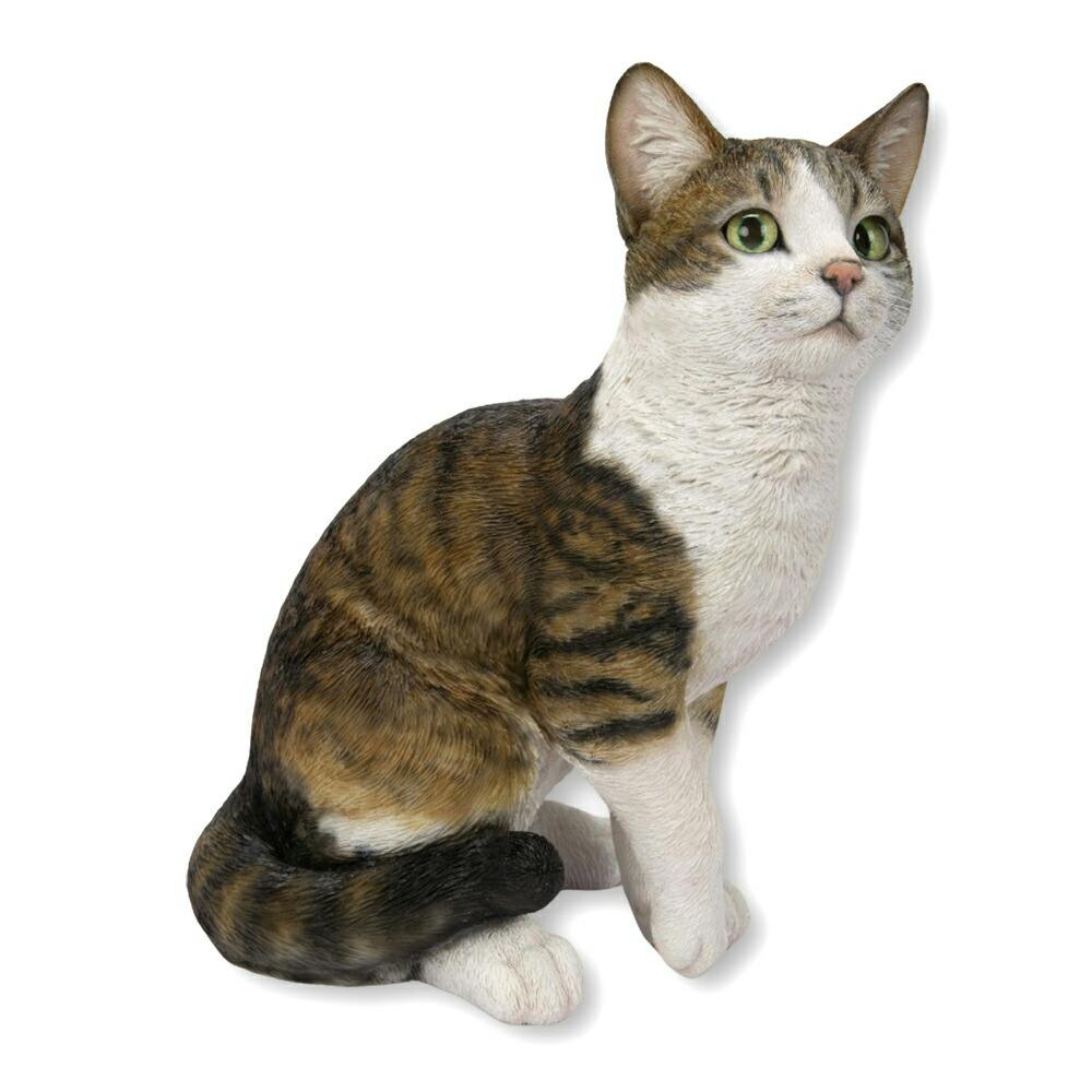 キジトラ白猫ページです。 mofoo ～モフー～お洒落 猫生活マガジン～