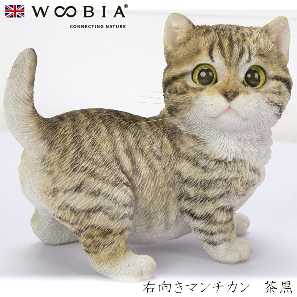 (幅14cm×奥行8.5cm×高さ11.5cm)猫 ねこ ネコ cat かわいい 置物 リアル 動物 おしゃれ インテリア ガーデニング イギリス 人形 オー ガーデン置物人形 (幅14cm×奥行8.5cm×高さ11.5cm)猫 ねこ ネコ cat かわいい 置物 リアル 動物 おしゃれ インテリア ガーデニング イギリス 人形 オー ガーデン置物人形