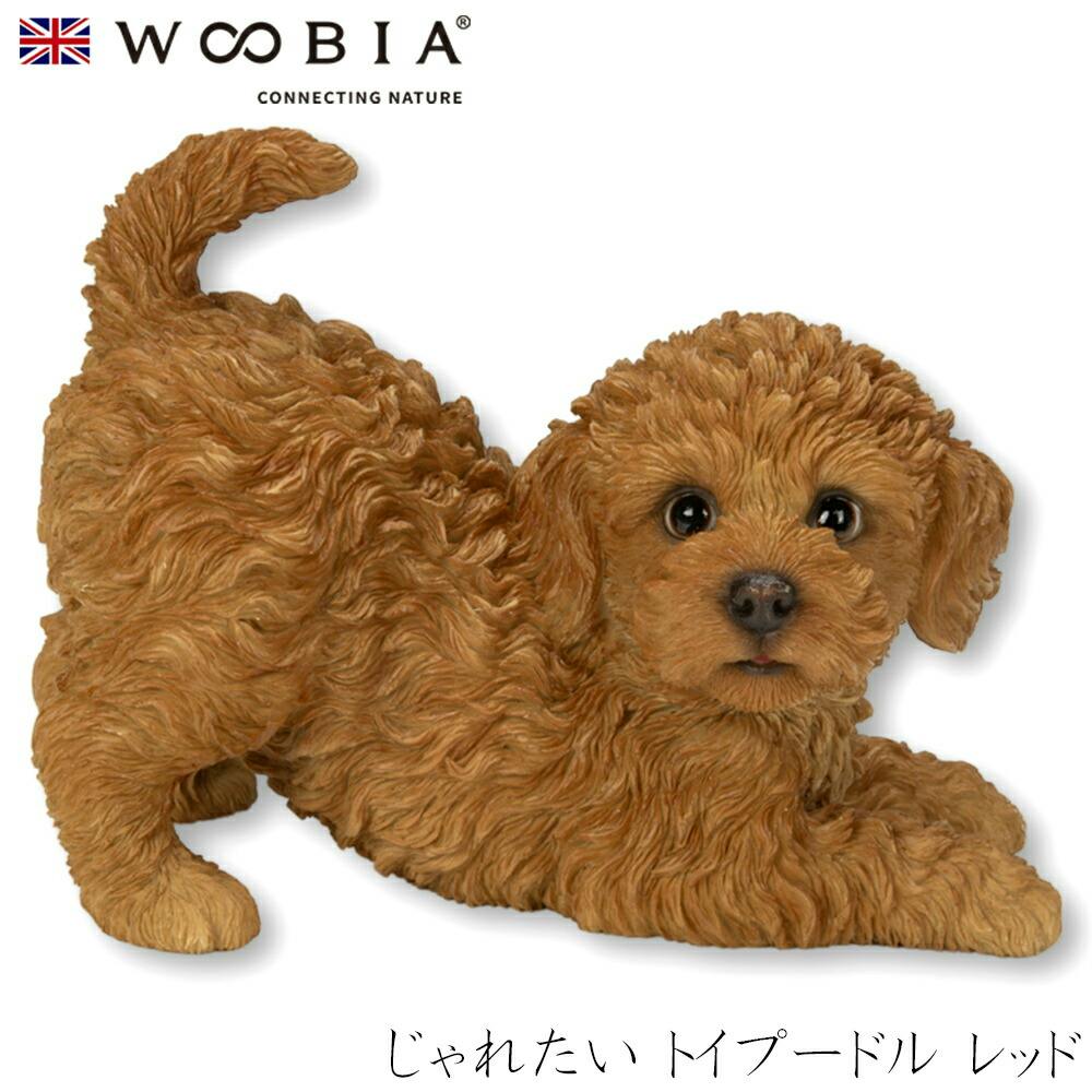 (幅20.5cm×奥行11.8cm×高さ14.5cm)犬 いぬ イヌ ドッグ dog かわいい 置物 リアル 動物 おしゃれ インテリア ガーデニング 人形 ガーデン置物人形 (幅20.5cm×奥行11.8cm×高さ14.5cm)犬 いぬ イヌ ドッグ dog かわいい 置物 リアル 動物 おしゃれ インテリア ガーデニング 人形 ガーデン置物人形