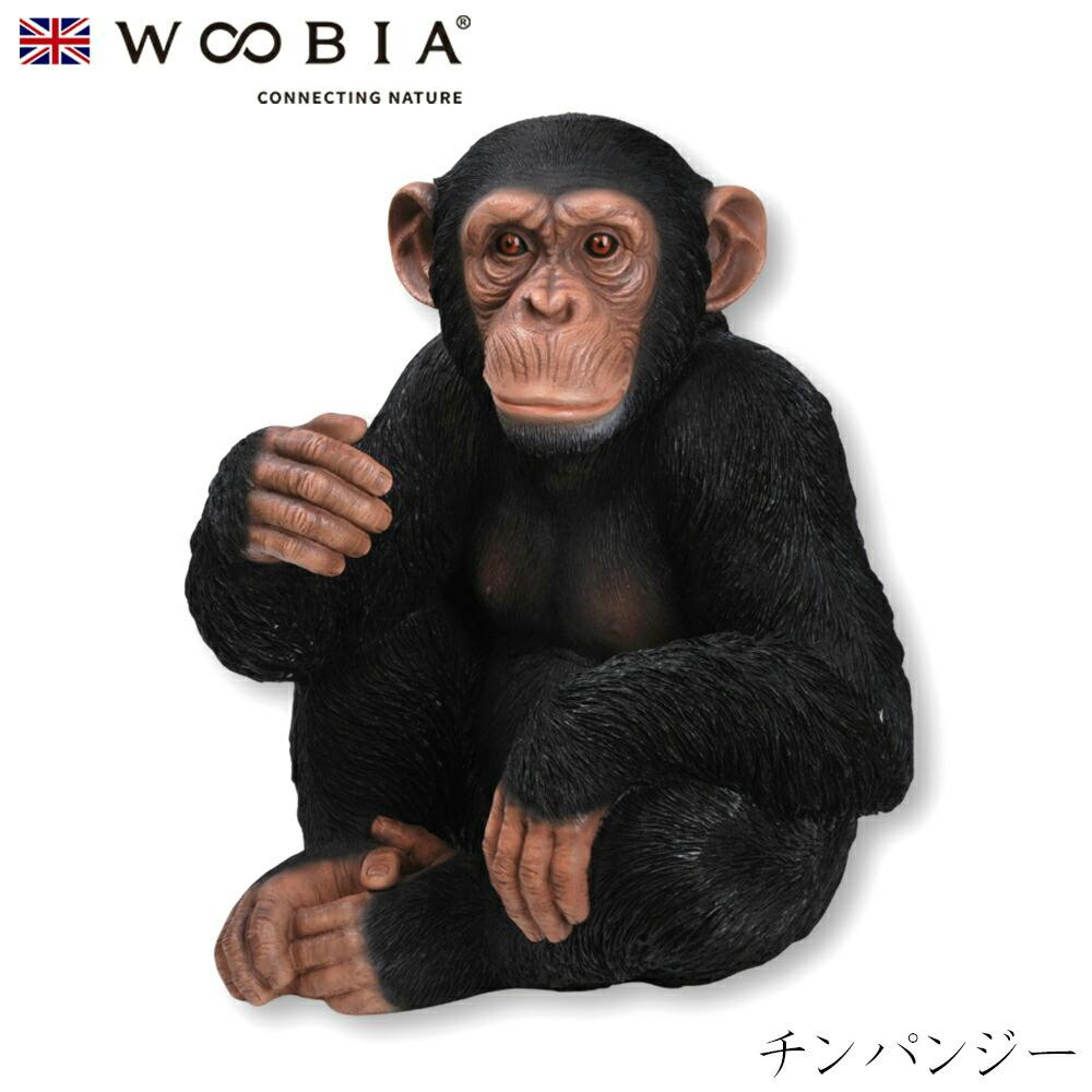 Woobia ウービア (幅47.7cm×奥行40.5cm×高さ53cm)かわいい 置物 リアル 動物 おしゃれ インテリア ガーデニング イギリス 人形 オ ガーデン置物人形 Woobia ウービア (幅47.7cm×奥行40.5cm×高さ53cm)かわいい 置物 リアル 動物 おしゃれ インテリア ガーデニング イギリス 人形 オ ガーデン置物人形