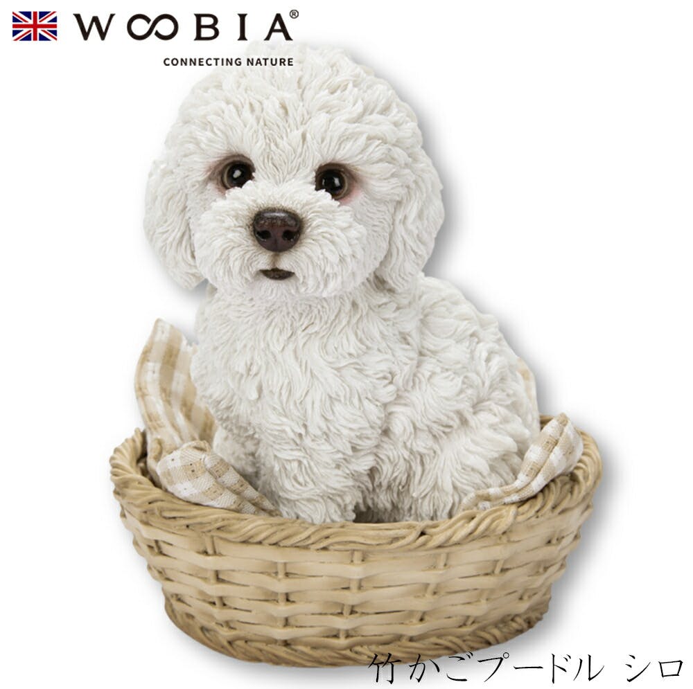 (幅12.5cm×奥行10.5cm×高さ14cm)犬 いぬ イヌ ドッグ dog かわいい 置物 リアル 動物 おしゃれ インテリア ガーデニング イギリス ガーデン置物人形 (幅12.5cm×奥行10.5cm×高さ14cm)犬 いぬ イヌ ドッグ dog かわいい 置物 リアル 動物 おしゃれ インテリア ガーデニング イギリス ガーデン置物人形
