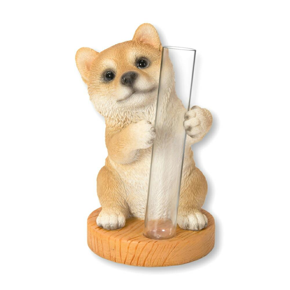 柴犬　デルトラクエスト1〜16完結セット den-a0004_top.jpg