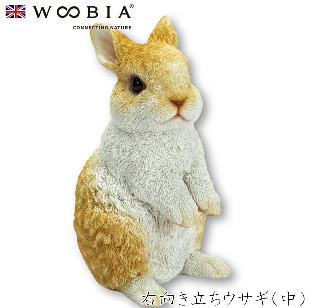 (幅13cm×奥行11cm×高さ20.3cm)かわいい 置物 リアル 動物 おしゃれ インテリア ガーデニング イギリス 人形 オーナメント ペット #458 ガーデン置物人形 (幅13cm×奥行11cm×高さ20.3cm)かわいい 置物 リアル 動物 おしゃれ インテリア ガーデニング イギリス 人形 オーナメント ペット #458 ガーデン置物人形