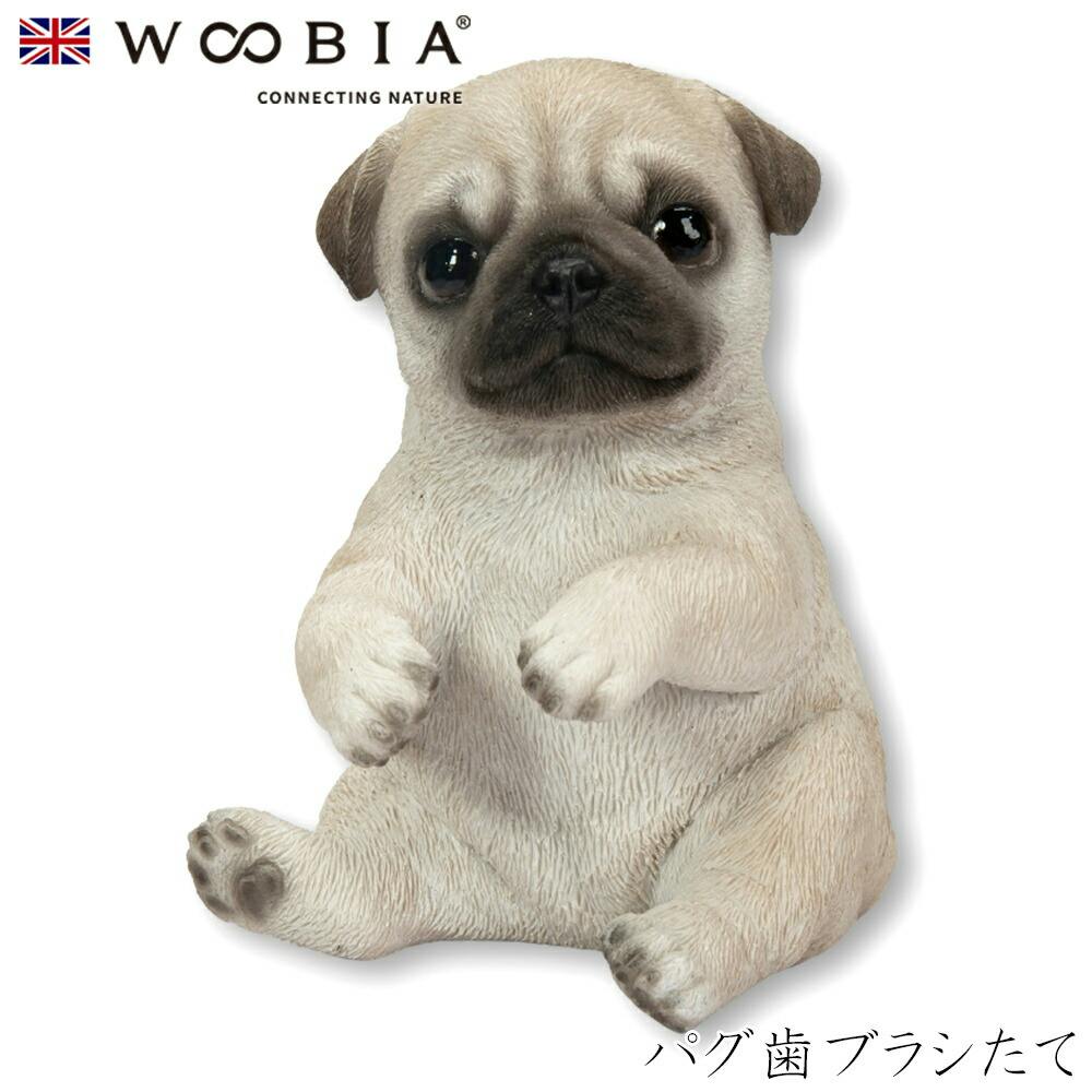 (幅8cm×奥行6.5cm×高さ9.5cm)犬 いぬ イヌ ドッグ dog かわいい 置物 リアル 動物 おしゃれ インテリア ガーデニング イギリス 人形 歯ブラシスタンド (幅8cm×奥行6.5cm×高さ9.5cm)犬 いぬ イヌ ドッグ dog かわいい 置物 リアル 動物 おしゃれ インテリア ガーデニング イギリス 人形 歯ブラシスタンド