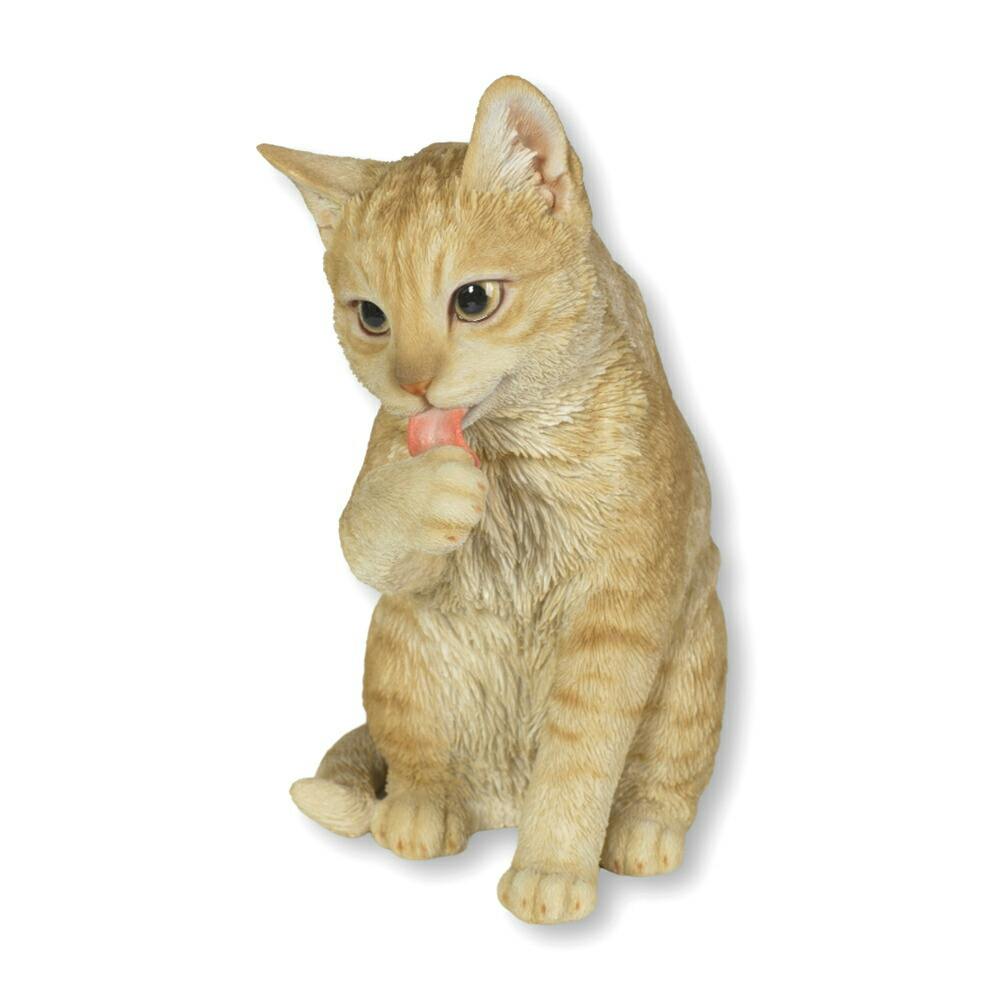 Woobia（ウービア）】【足をなめるダークビスケットとら猫】 (幅
