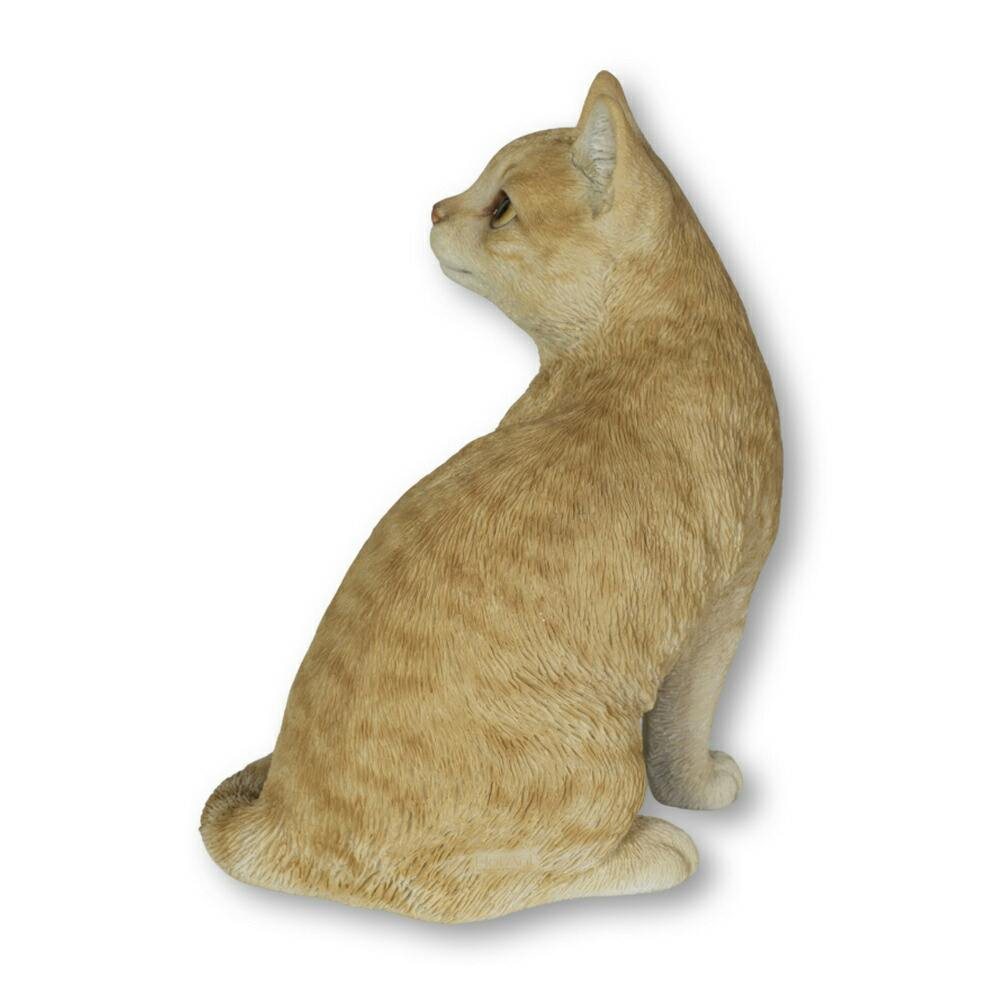 現在開催中のキャンペーン＆お得情報 Woobia（ウービア）】【振り返るダークビスケットとら猫】 (幅 子ども向けフィギュア