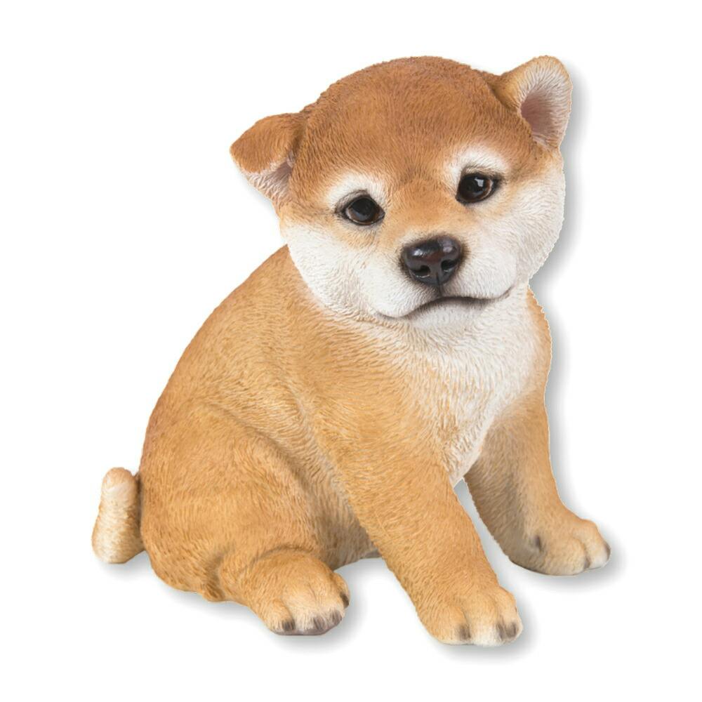 buna アニマルウッド 犬 いぬ buna アニマルウッド 犬 いぬ
