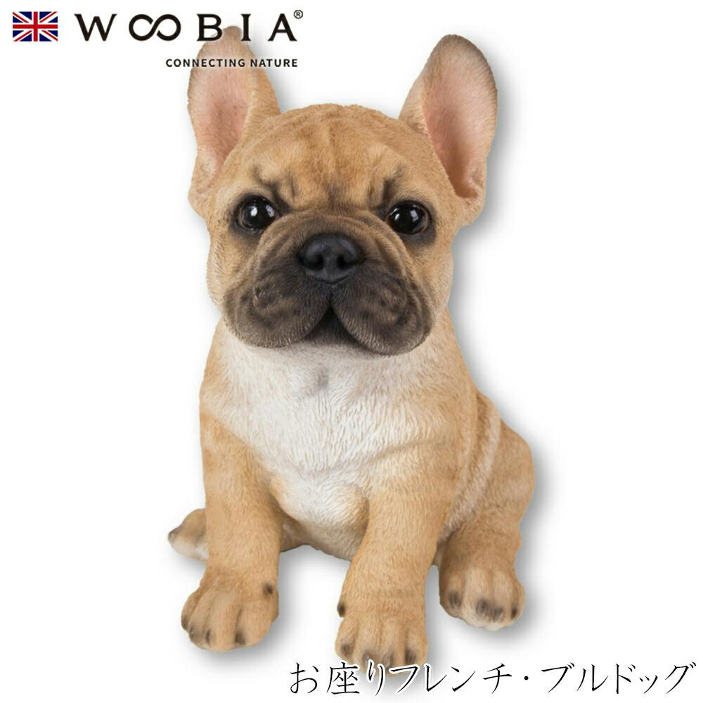 (幅10.7cm×奥行14.2cm×高さ16cm)犬 いぬ イヌ ドッグ dog かわいい 置物 リアル 動物 おしゃれ インテリア ガーデニング イギリス ガーデン置物人形 (幅10.7cm×奥行14.2cm×高さ16cm)犬 いぬ イヌ ドッグ dog かわいい 置物 リアル 動物 おしゃれ インテリア ガーデニング イギリス ガーデン置物人形