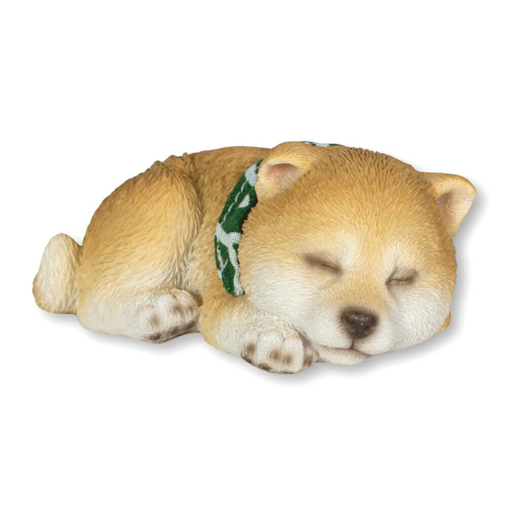 リラックスしている犬 楽天市場】【在庫限り】528Hzいぬのやすらぎリラックス | ペット