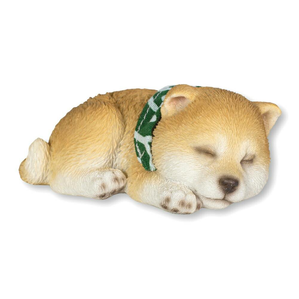 Woobia ウービア 【横向き寝豆しば】 (幅8.8cm×奥行5.5cm×高さ