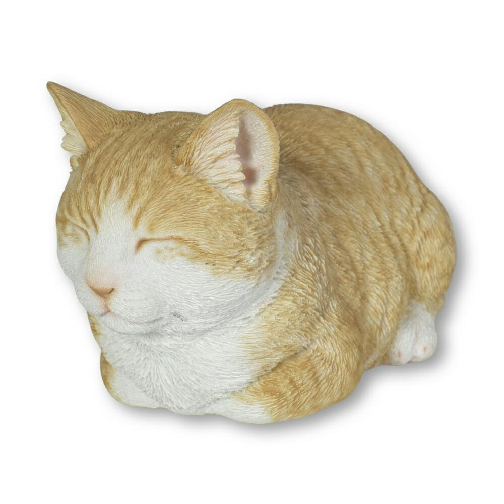 vivi猫 いつもZIWI®＜ジウィ＞をご愛顧いただき、ありがとうございます