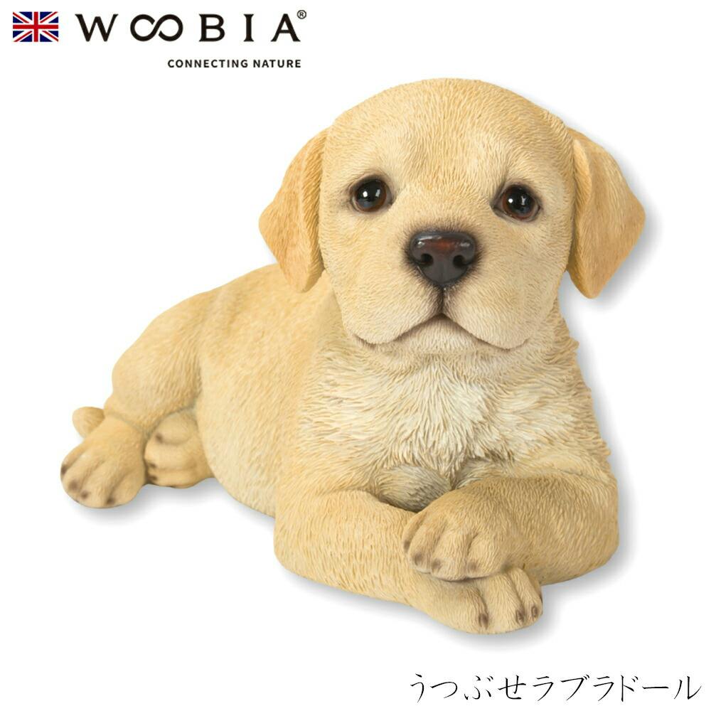 (幅20cm×奥行11.5cm×高さ12cm)犬 いぬ イヌ ドッグ dog かわいい 置物 リアル 動物 おしゃれ インテリア ガーデニング イギリス 人形 ガーデン置物人形 (幅20cm×奥行11.5cm×高さ12cm)犬 いぬ イヌ ドッグ dog かわいい 置物 リアル 動物 おしゃれ インテリア ガーデニング イギリス 人形 ガーデン置物人形